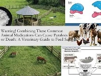 Warning! Combining These Common Animal Medications Can Cause Paralysis or Death