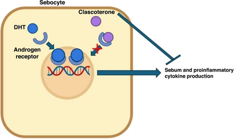 76CB0301 powder C 76CB0301 powder C