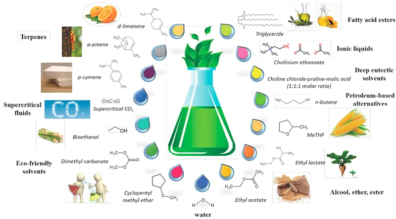 Citrus Aurantium Extract Powder B Citrus Aurantium Extract Powder B