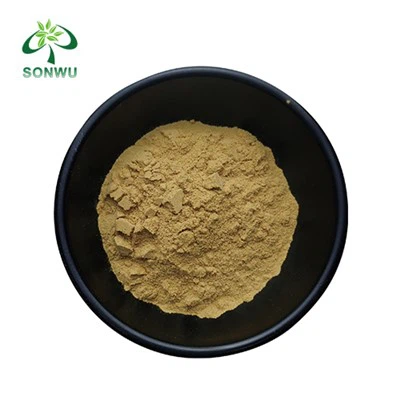 Coleus Forskohlii Extract Powder