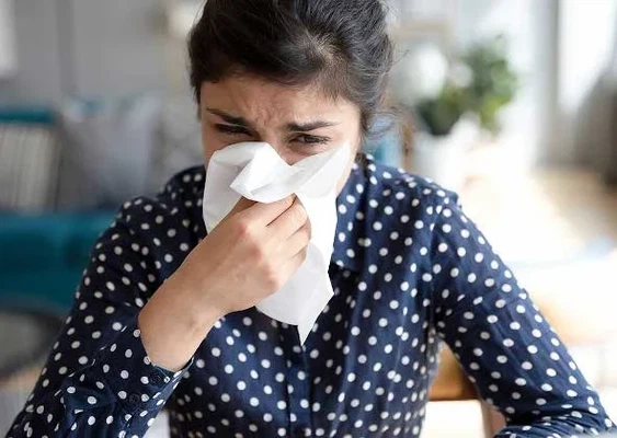 Olopatadine hydrochloride can alleviate nasal allergy symptoms such as sneezing, itchy nose, runny nose Olopatadine hydrochloride can alleviate nasal allergy symptoms such as sneezing, itchy nose, runny nose