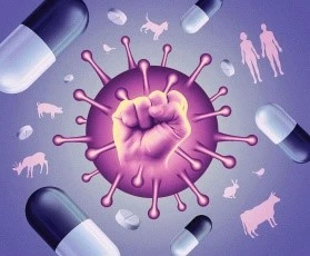 an antibiotic drug an antibiotic drug