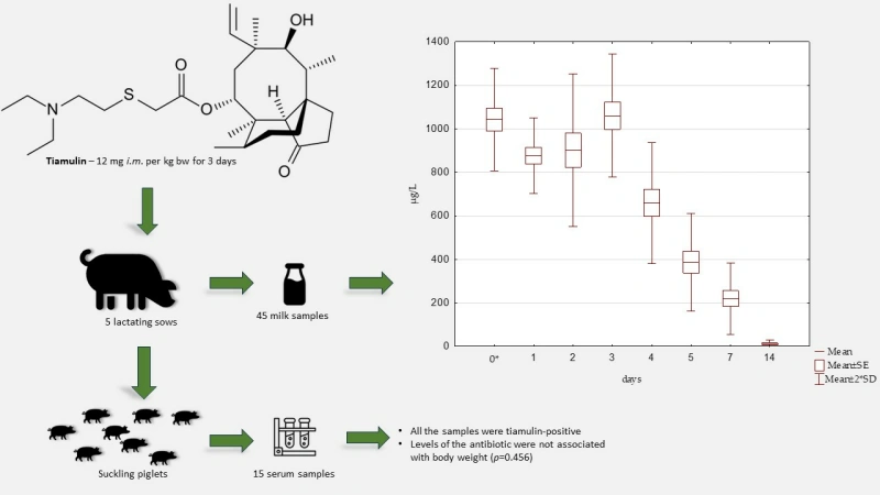 The Mechanism Of Action Of Tiamulin Fumarate The Mechanism Of Action Of Tiamulin Fumarate