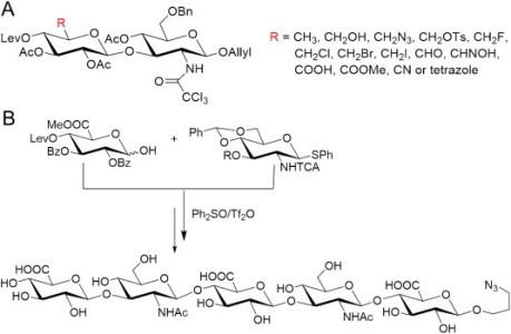 synthesis of hyaluronic acid