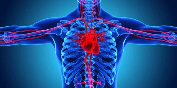 product-900-450 product-900-450