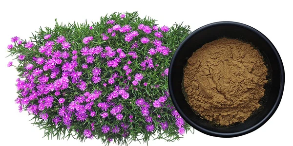 product-900-450 product-900-450