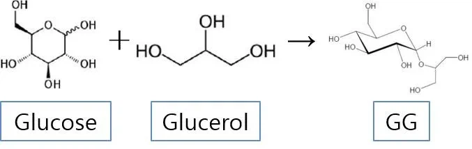 How Does Glyceryl Glucoside Work How Does Glyceryl Glucoside Work