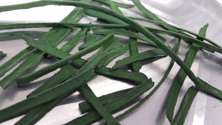Spirulina Spirulina