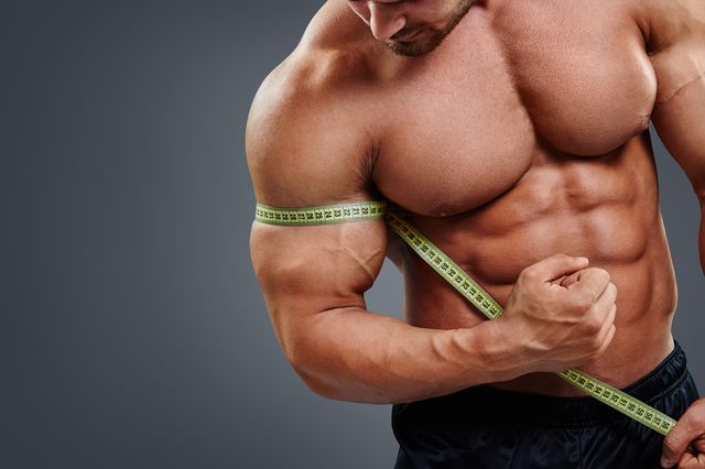 Muscle Growth